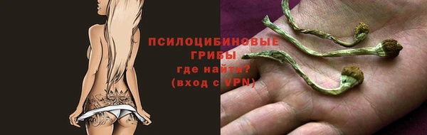 a pvp Богородицк